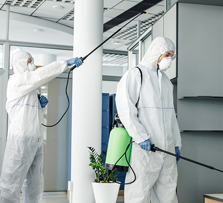 Pest control